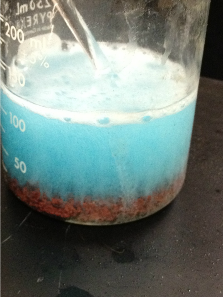 stoichiometry of chemical reactions ap chemlab